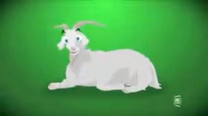 Pulcino Pio Radio Globo)