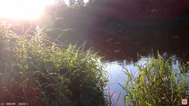ДНЕПР -  ОРША - УДОЧКА  и  ВЕСЁЛАЯ  УКЛЕЙКА   ( 12  июня  2020 )