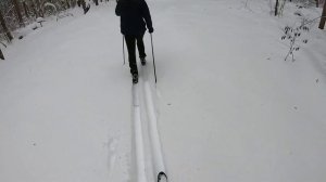 Армейские лыжи,каковы они на вкус.