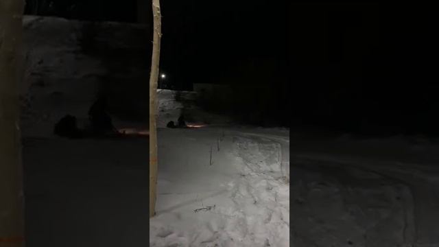 снегоход смотреть онлайн