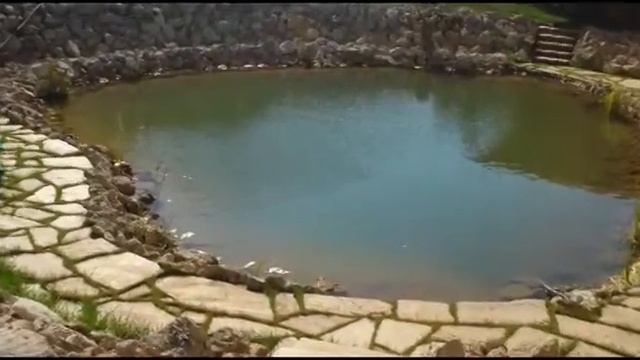 УТРО ДАЧА розы смотреть онлайн