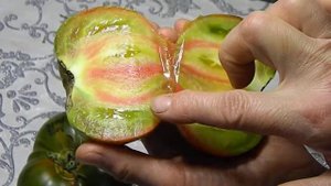 Томат Лето любви. Еще один тест.