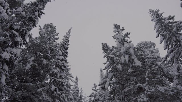 Долина  Ручьев