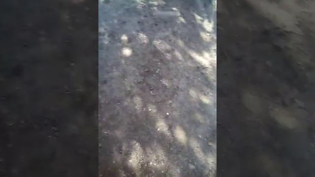 Шпуляем с воздушки смотреть онлайн