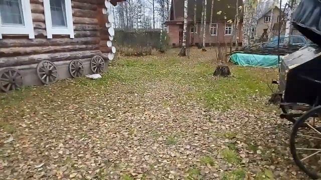 Остановка на базе ,,Мельница"＃видеообзор＃базаотдыха＃мельница＃населигере