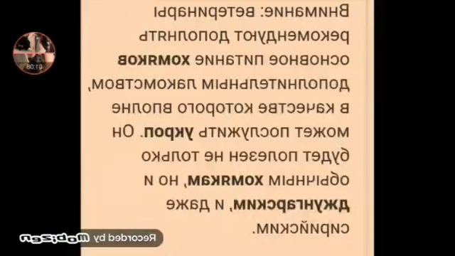 Овощи которые можно давать джунгарским хомякам смотреть онлайн
