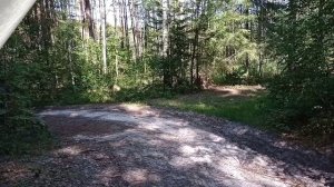 Гриденино - озеро Холодное (16.07.2024 - 17.07.2024)