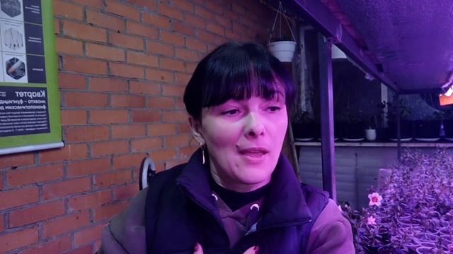 Поболтушки. Немного о том, чем я занималась три дня.