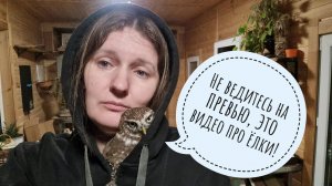 Сыч Лучик мешает мне показывать ёлки! Что я привезла из Москвы? Не то, что надо сове