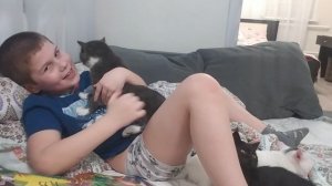 Тима играет с котятами? 08 февраля 2023
