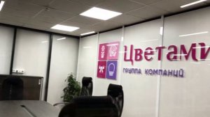 ЛОГОТИП НА СТЕНУ - БУКВЫ ИЗ ПВХ - ЦВЕТАМИ