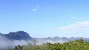 опоздал да простите