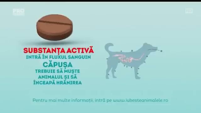 Reclama Advantix si Foresto смотреть онлайн