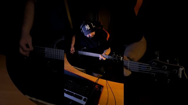 Alice in chains - Would? (bass cover)