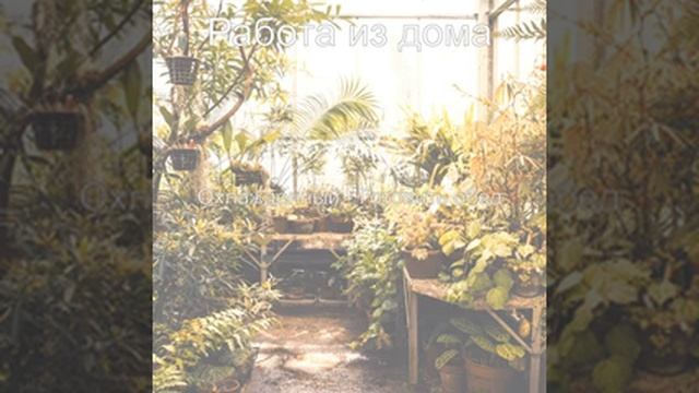 Вежливый - Атмосфера Готовить обед смотреть онлайн