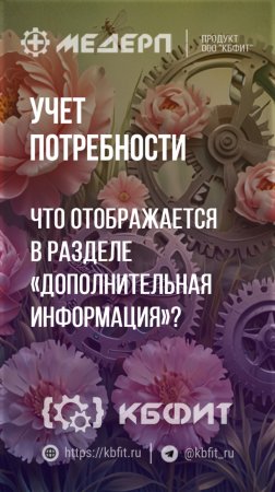 КБФИТ: МЕДЕРП. Учет потребности: Что отображается в разделе «Дополнительная информация» ?