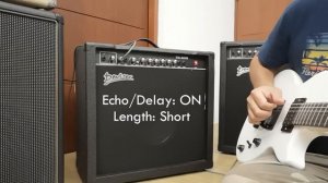 Deviser TG-60 Electric Guitar Amplifier