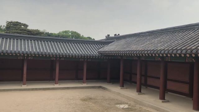 KOREA TRAVEL VLOG | Seoul, Jeju Island, Udo, Starfield Library, Myeongdong, Namsan Tower, Insadong смотреть онлайн