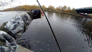 Рыбалка 2018. Канал имени Москвы. Химки.