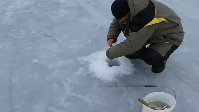 Щука на жерлицу без поводка смотреть онлайн