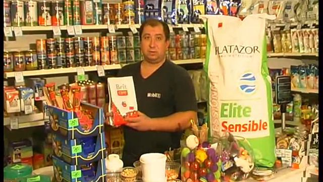 shusha6.flv смотреть онлайн