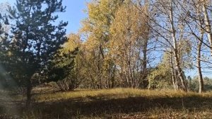 В какой день недели человек родился, так и сложится его судьба и характер.