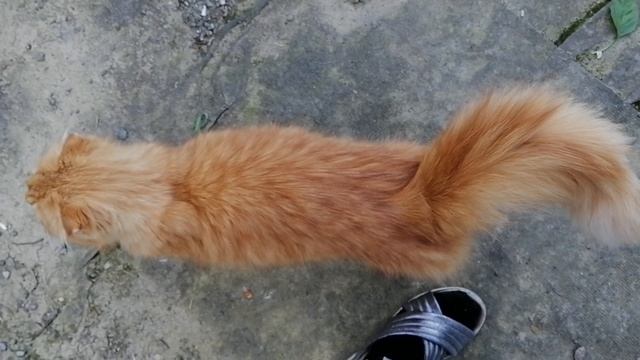 Рассада приехала смотреть онлайн