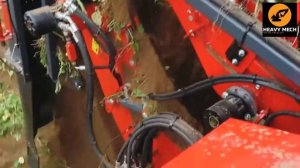 Как убирают картофель в развитых странах Европы