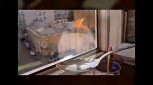 Отличия этилового от метилового спирта