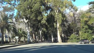 Проспект Ардзинба. Гагра. Абхазия. Январь 2017г.