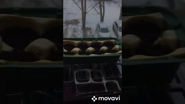 Посевная 2020 стартовала!