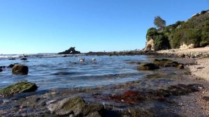 Newport Beach California: Corona Del Mar Travel Guide