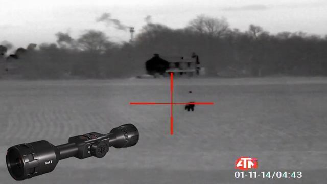 Atn thor 4 quick fox hunt at night смотреть онлайн