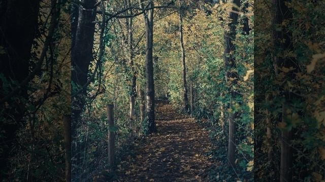 Музыка (Моменты) смотреть онлайн