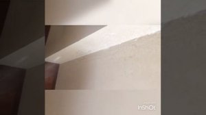 КАК ОЧИСТИТЬ ПЯТНА КРАСНОГО ВИНА СО СТЕНЫ