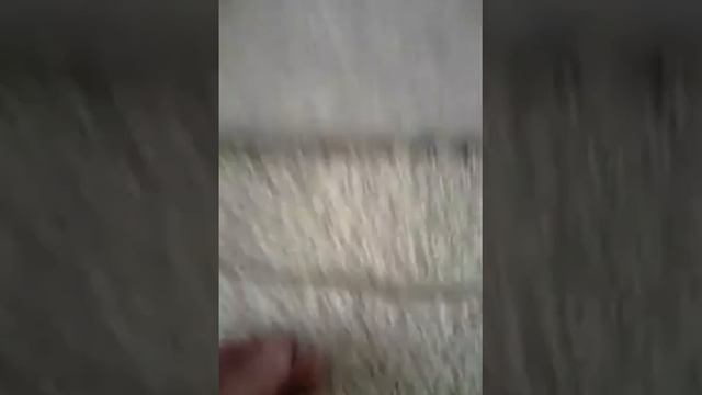 Подключение телофона щит линия 2 жилы медь чудесная витая