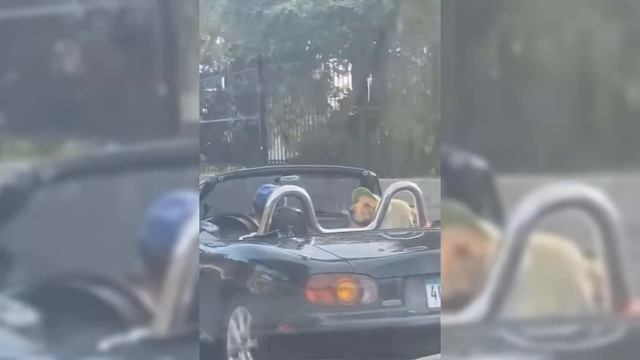 На Такое Хочется Смотреть Вечно! Смешные Случаи Снятые на Камеру!