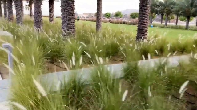 ОТДЫХ В ОАЭ. ФУДЖЕЙРА. ОТЕЛЬ 5* INTERCONTINENTAL FUJAIRAH RESORT. ОБЗОР ОТЕЛЯ. (с субтитрами)