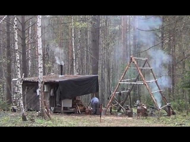 Жизнь Отшельника в ТАЙГЕ ЧАЙ из БЕРЕЗОВОЙ ЧАГИ СупИз ПАПОРОТНИКА СТРАУСНИКА camping outdoor survival