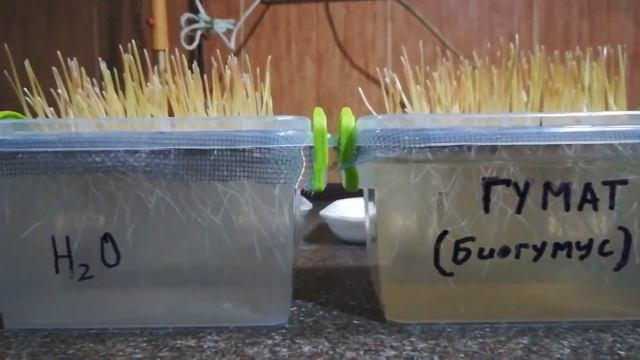 Гумат Калия - обман века??? Как это было!!! // Humate potassium - deception century??? How it was!! смотреть онлайн