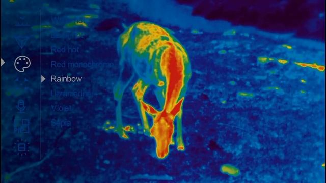 Pulsar AXION XQ38 termisk håndspotter смотреть онлайн