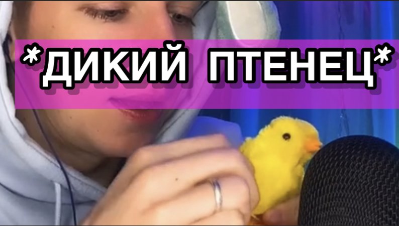 ДИКИЙ ПТЕНЕЦ ? СМЕШНО ?