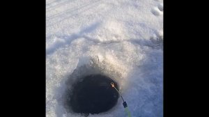 рыбалка максимовка омская область