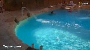 Parrotel Beach Resort 5*, Египет, Шарм эль Шейх, ✈ обзор, отзывы