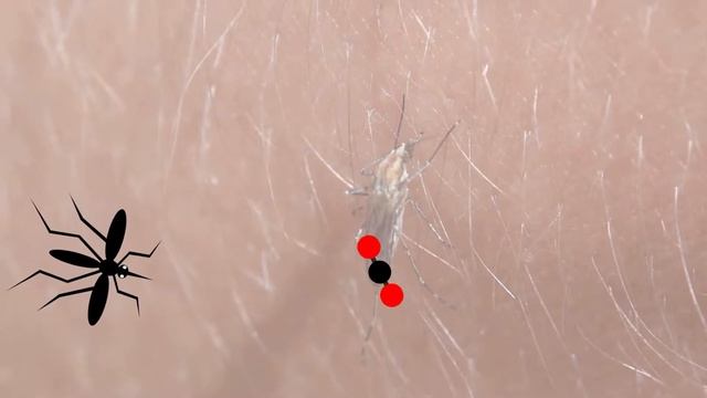 What is DEET? How Mosquito Repellent Works смотреть онлайн