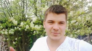 Что нужно знать О КУСТАХ И ДЕРЕВЬЯХ перед покупокй участка. Вырубка, спил корчевание.