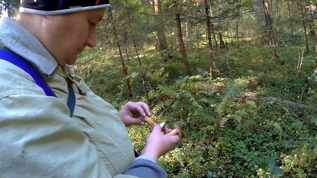 БЕЛЫЕ ГРИБЫ ПОИСК 2018 ГОД ДО СВИДАНИЯ ЛЕТО смотреть онлайн