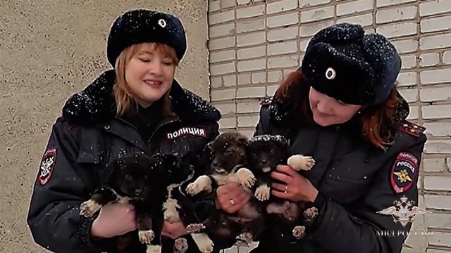 В Хакасии полицейские спасли щенков на ж/д путях смотреть онлайн