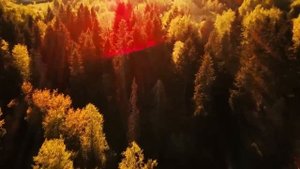 Chris Rea "Looking for the Summer" (New Generation Mix) (ver. 2) - Digital Master VideoEdit -