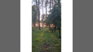 Дом на берегу моря в Шекветили Грузия